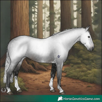 Horse Color:Gray Brown Sabino Tobiano Rabicano 