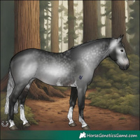 Horse Color:Gray Brown Sabino Tobiano Rabicano 