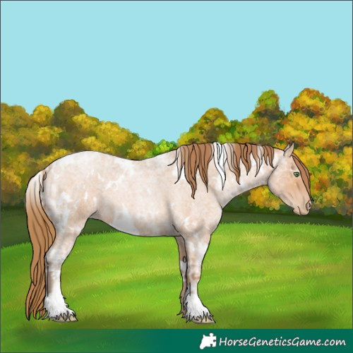 Horse Color:White Spotted Bay Ice Roan Pearl 