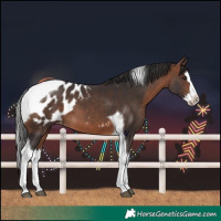 Horse Color:Bay Splash Tobiano Appaloosa 