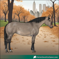 Horse Color:Brown Dun 