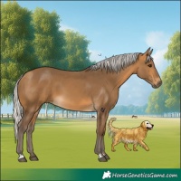 Horse Color:Silver Buckskin 