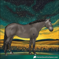 Horse Color:Gray Grullo 
