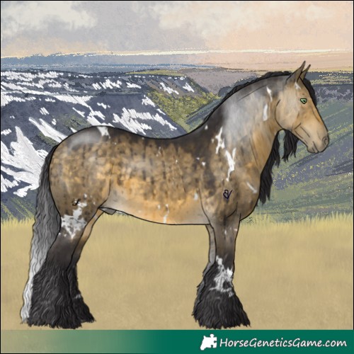 Horse Color:White Spotted Buckskin Dun Brindle 