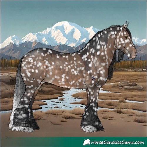 Horse Color:Brown Dun Snowflake Varnish 