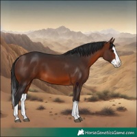 Horse Color:Brown Splash