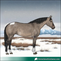 Horse Color:Brown Dun Tobiano 