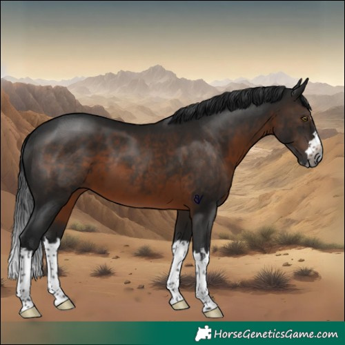 Horse Color:Gray Brown Splash Rabicano 