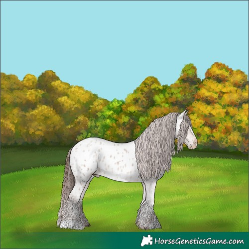 Horse Color:Sable Champagne Ice Roan Near Leopard 