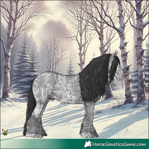 Horse Color:Black Ice 