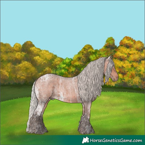 Horse Color:Silver Brown Ice Roan 