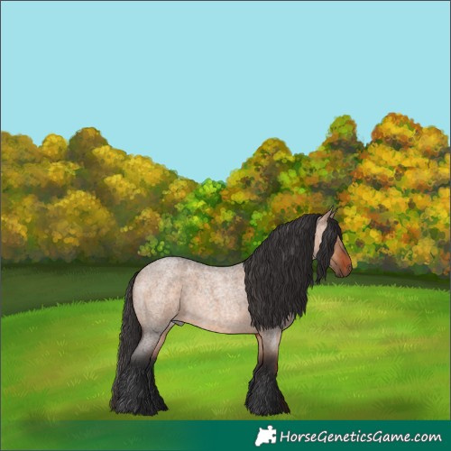 Horse Color:Brown Roan Dun 