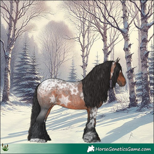 Horse Color:Brown Ice Roan 