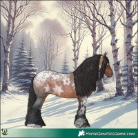 Horse Color:Brown Ice Roan