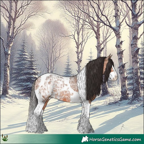 Horse Color:Bay Ice Splash Tobiano