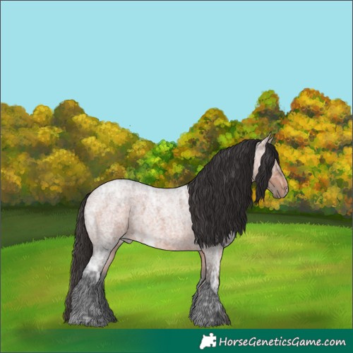 Horse Color:Bay Ice Roan Rabicano 