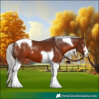 Horse Color:Silver Brown Tobiano 