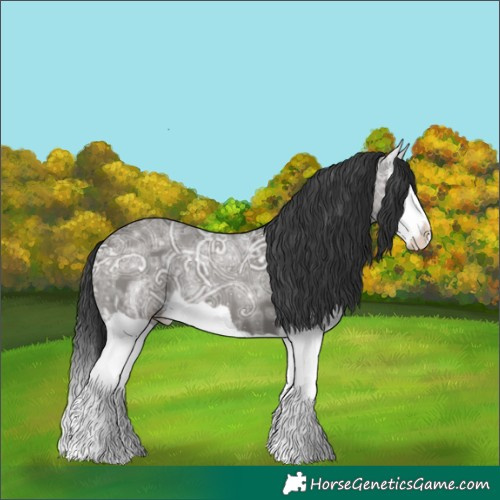 Horse Color:Grullo Ice Splash 