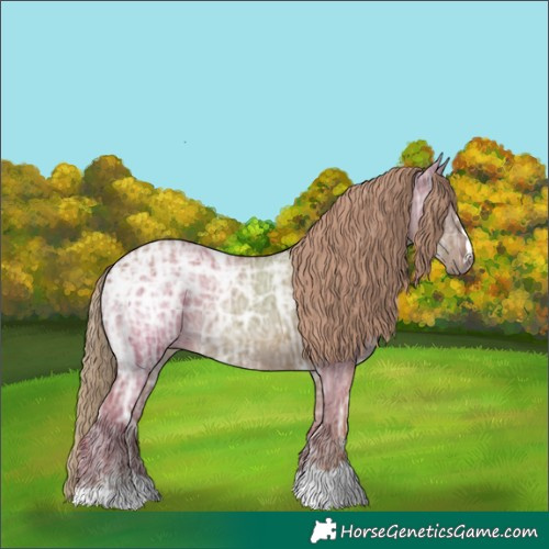 Horse Color:Red Dun Ice Rabicano 