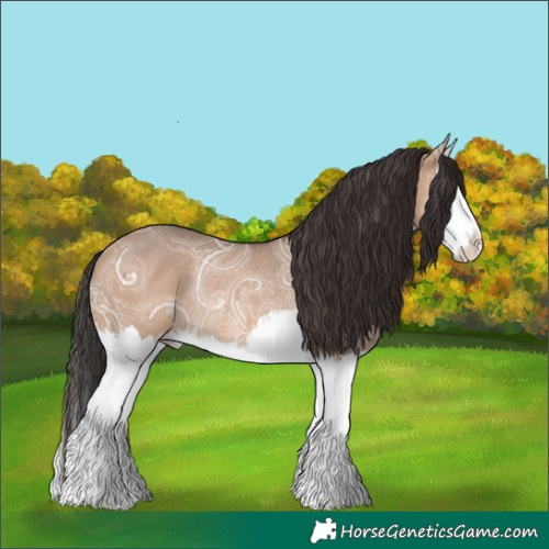 Horse Color:Bay Ice Dun Splash Rabicano 