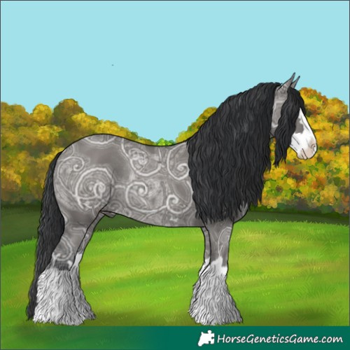 Horse Color:Grullo Ice Splash Rabicano 
