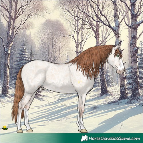 Horse Color:Gold Champagne Ice Dun Rabicano 