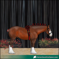 Horse Color:Silver Brown Sabino 