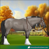 Horse Color:Grullo Tobiano 