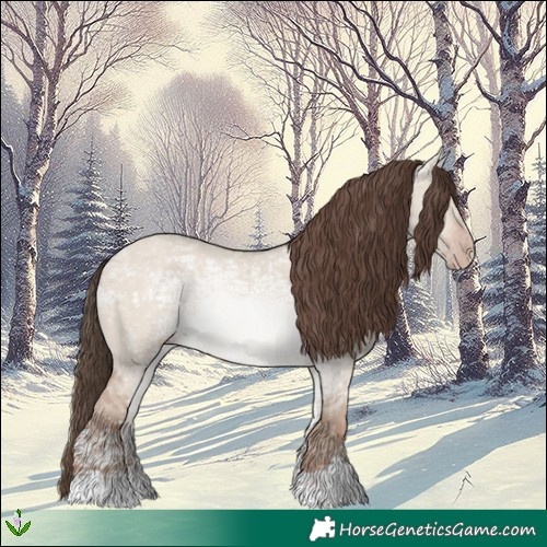 Horse Color:Classic Champagne Ice Dun 