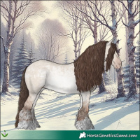 Horse Color:Classic Champagne Ice Dun 