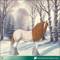 Horse Color:Red Dun Ice Splash