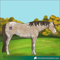 Horse Color:Classic Cream Champagne Ice 