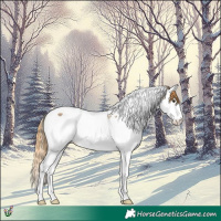 Horse Color:Chestnut Ice Splash Tobiano