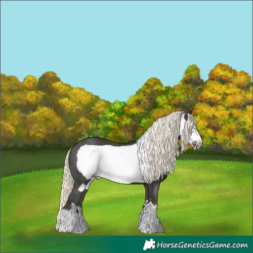 Horse Color:Midnight Palomino Ice Pearl Dun Frame 