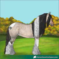 Horse Color:Brown Roan Dun Tobiano