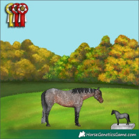 Horse Color:Brown Roan Snowflake Varnish