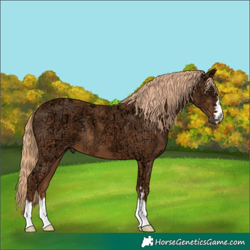 Horse Color:Chestnut Ice 