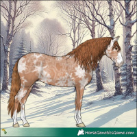 Horse Color:Chestnut Ice Rabicano 
