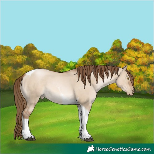 Horse Color:Liver Red Dun Pearl Tobiano 