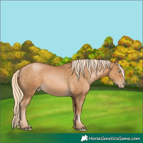 Horse Color:Gray Palomino Pearl 