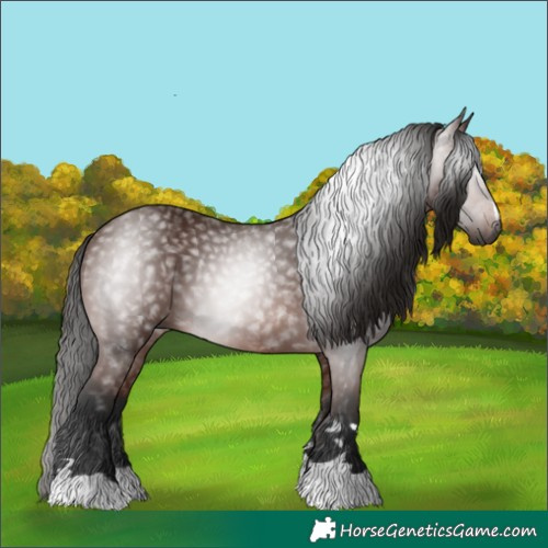 Horse Color:Gray Bay 