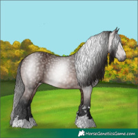 Horse Color:Gray Bay