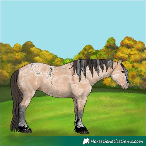 Horse Color:Unknown 