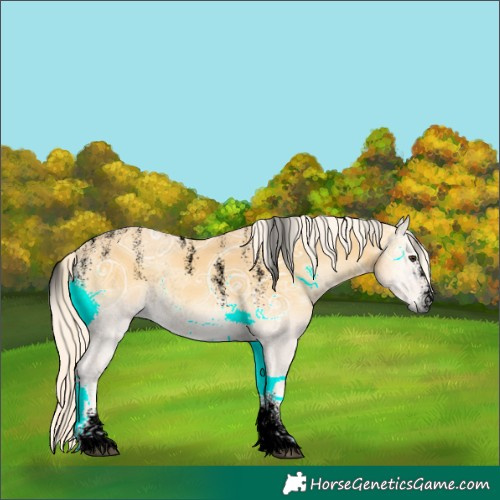 Horse Color:Powder White Void Palomino Ice Onyx Rabicano 