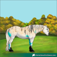 Horse Color:Powder White Void Palomino Ice Onyx Rabicano 