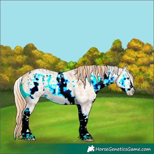 Horse Color:Powder White White Spotted Red Dun Ice Onyx Rabicano 