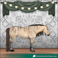 Horse Color:Powder White Void Buckskin Ice Dun Rabicano