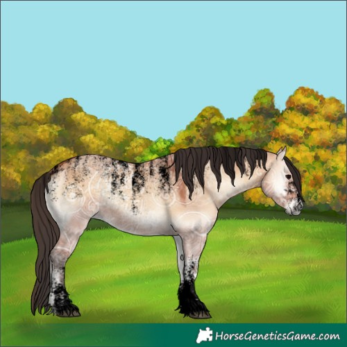 Horse Color:Powder White Void Bay Ice Onyx Rabicano 
