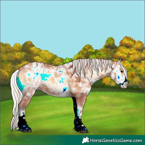 Horse Color:Powder White White Spotted Silver Bay Ice Onyx Rabicano 