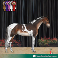 Horse Color:Brown Tobiano